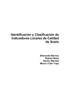 Identificación y Clasificación de Indicadores Locales de Calidad de