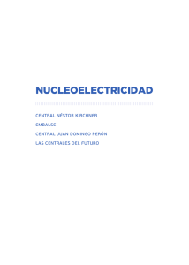 nucleoelectricidad