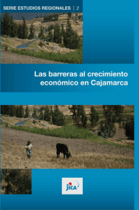 Las barreras al crecimiento económico en Cajamarca. Serie