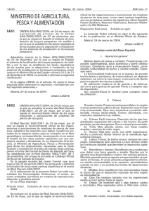 PDF (BOE-A-2004-5652 - 6 págs. - 46 KB )