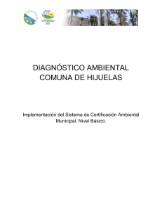 diagnóstico ambiental comuna de hijuelas