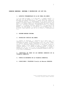 derecho menores: reforma y protecci&oacute;n (25 oct 08).