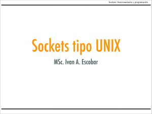 Sockets Tipo UNIX