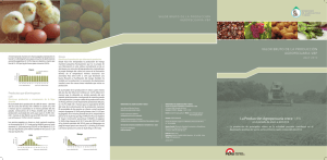 VBP Agropecuario (pdf - 1.9Mb.)