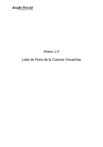 Anexo J-3 Lista de Flora de la Cuenca Vizcachas