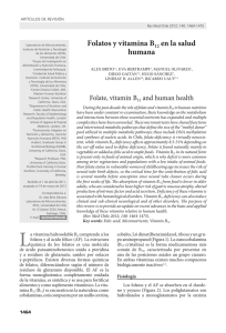 Folatos y vitamina B12 en la salud humana