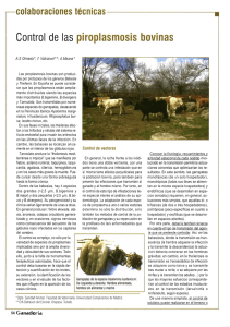 Artículo en PDF - Ministerio de Agricultura, Alimentación y Medio