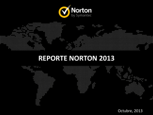 reporte norton 2013