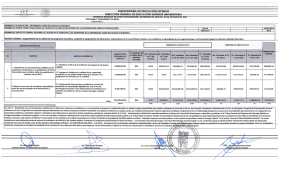 Informe 2013 FECES