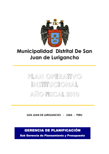 plan operativo institucional 2010 - Municipalidad de San Juan de