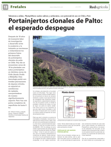 articulo en pdf - Pontificia Universidad Católica de Valparaíso