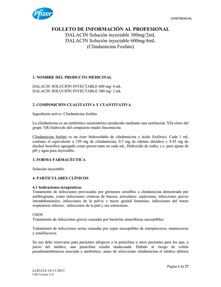 Folleto De Información Al Profesional