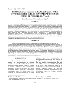 USO DE Panicum maximum Y Brachiaria brizantha PARA
