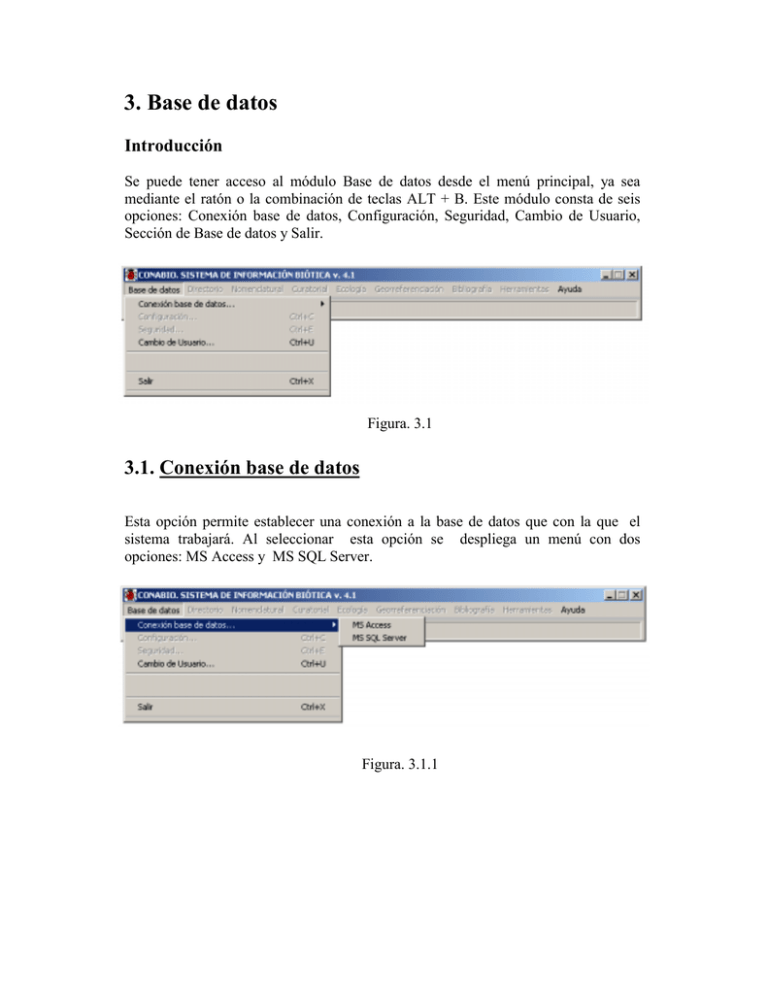 3. Base De Datos