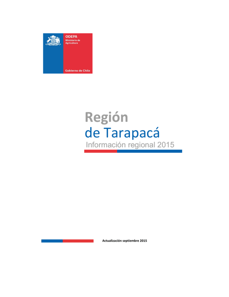 REGI N DE TARAPAC visual data 4