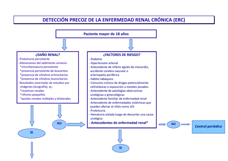 Detecci n Precoz De La Enfermedad Renal Cr nica ERC Detecci n Precoz De La Enfermedad Renal Cr nica ERC
