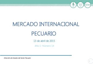 Año 1-Nro 14 Mercado Internacional