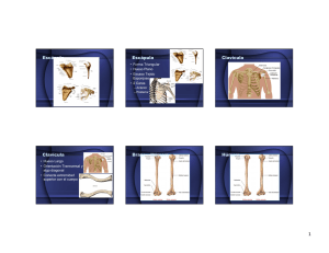 3. Osteología.pptx