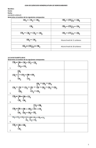 guia de ejercicios nomenclatura de hidrocarburos (Química)