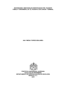 f ormulario para la descripci&oacute;n del trabajo de grado