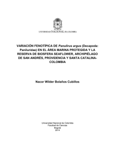 VARIACIÓN FENOTÍPICA DE Panulirus argus (Decapoda