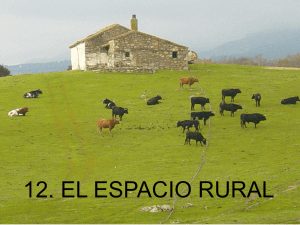 El espacio rural - IES JORGE JUAN / San Fernando