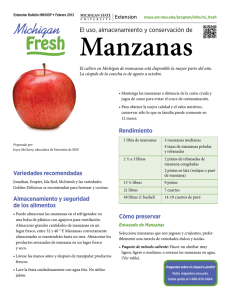 El uso, almacenamiento y conservación de Manzanas
