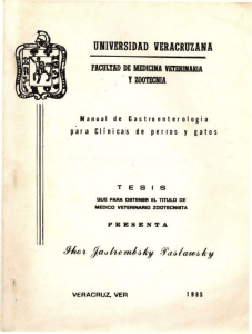 UNIVERSIDAD VERACRUZANA