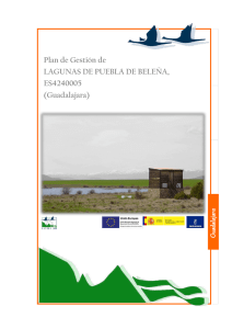 Plan de Gestión Lagunas de Puebla de Beleña. Doc 1