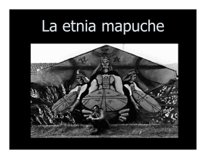 La etnia mapuche