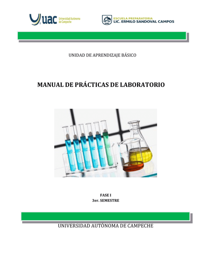 Manual De Laboratorio Química Básica