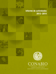 Informe de actividades 2012-2014