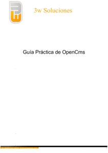 3w Soluciones - OpenCms Hispano