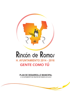 plan de desarrollo municipal de rincón de romos 2010