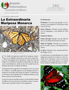 La Extraordinaria Mariposa Monarca