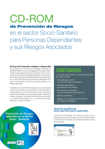 CD Rom Prevencion Riesgos Laborales sector