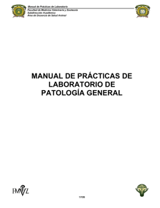 manual de prácticas de laboratorio de patología general
