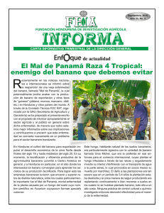 Informa - Fundación Hondureña de Investigación Agrícola
