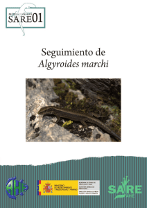 Seguimiento de Algyroides marchi