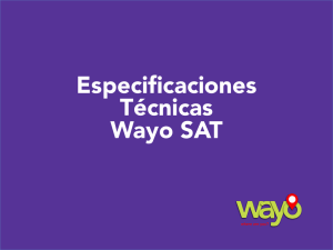 Especificaciones Técnicas Wayo SAT