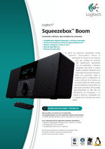 Squeezebox™ Boom