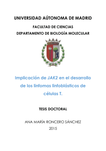 UNIVERSIDAD AÚTONOMA DE MADRID Implicación de JAK2 en el