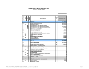 Formulacion Presupuesto SSNS 2010