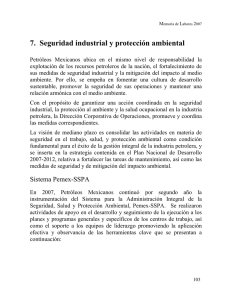7. Seguridad industrial y protección ambiental
