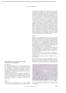 Bacteriemia por Capnocytophaga spp. en pacientes neutropénicos