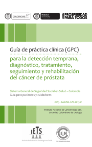 guia014-2013-cancer-de-prostata-01-08-13