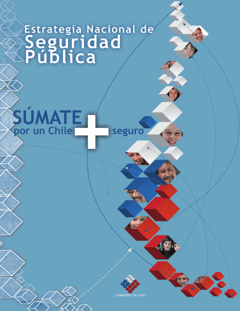 Estratégia Nacional De Seguridad Pública 2006