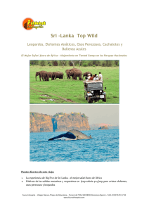 Sri –Lanka Top Wild