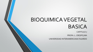 BIOQUIMICA VEGETAL BASICA - Universidad Interamericana