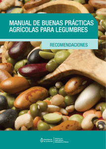 manual de buenas prácticas agrícolas para legumbres